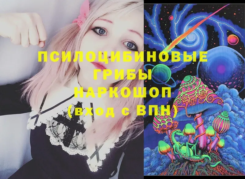 Галлюциногенные грибы MAGIC MUSHROOMS  купить закладку  Касимов 